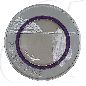 Mobile Preview: 2021 G Polare Zone 5 Euro violetter Ring Karlsruhe Münzen-Bildseite