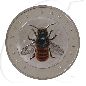 Preview: BRD 5 Euro 2023 D (München) vz-st Wunderwelt Insekten - Rostrote Mauerbiene