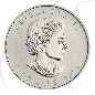 Preview: Kanada 2013 Silber Polarbär 8 Dollar Münzen-Wertseite