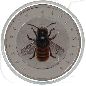 Preview: BRD 5 Euro 2023 D (München) PP OVP Wunderwelt Insekten - Rostrote Mauerbiene