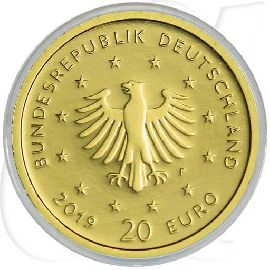 20 Euro Gold Wanderfalke Münzen-Wertseite