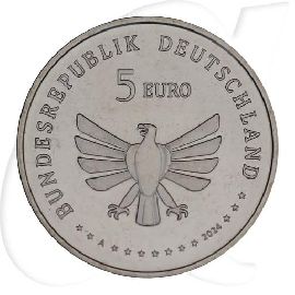 BRD 5 Euro 2024 A (Berlin) vz-st Wunderwelt Insekten - Grünes Heupferd