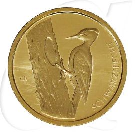 Gold 2021 Schwarzspecht 20 Euro Deutschland Münzen-Bildseite