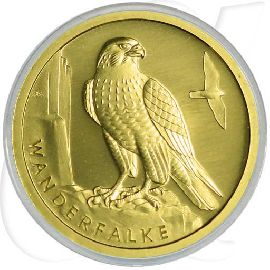 Goldmünze 20 Euro 2019 Wanderfalke Münzen-Bildseite