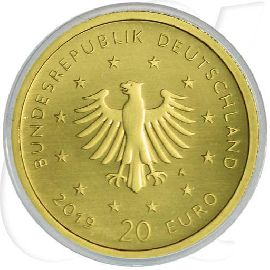 Goldmünze 20 Euro 2019 Wanderfalke Münzen-Wertseite