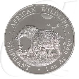 somalia elefant 2022 Münzen-Bildseite