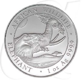 somalia elefant 2023 Münzen-Bildseite