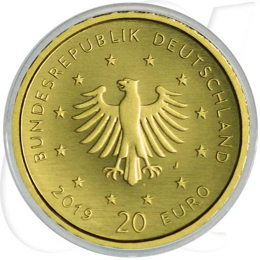 Deutschland 20 Euro Gold 2019 J st Heimische Vögel - Wanderfalke