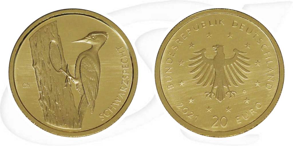 20 Euro 2021 Schwarzspecht Geutschland Gold Münze Vorderseite und Rückseite zusammen