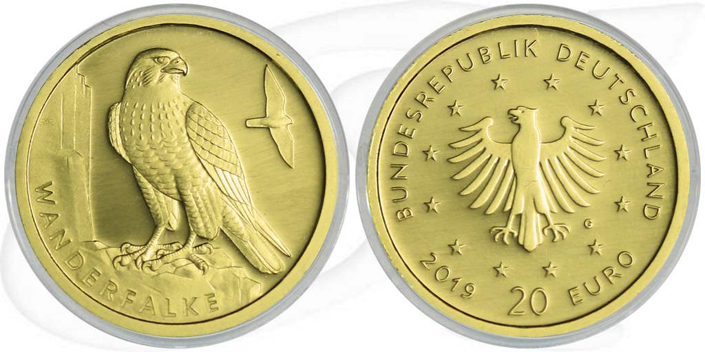 20 Euro Goldmünze 2019 Wanderfalke Münze Vorderseite und Rückseite zusammen