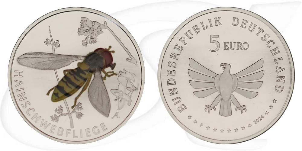 BRD 5 Euro 2024 F (Stuttgart) vz-st Wunderwelt Insekten - Hainschwebfliege Münze Vorderseite und Rückseite zusammen