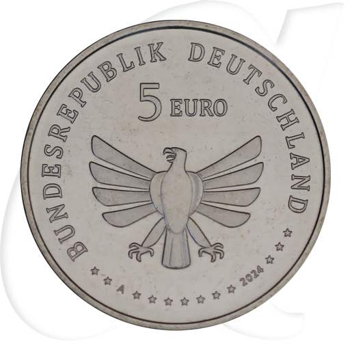 BRD 5 Euro 2024 A (Berlin) vz-st Wunderwelt Insekten - Grünes Heupferd