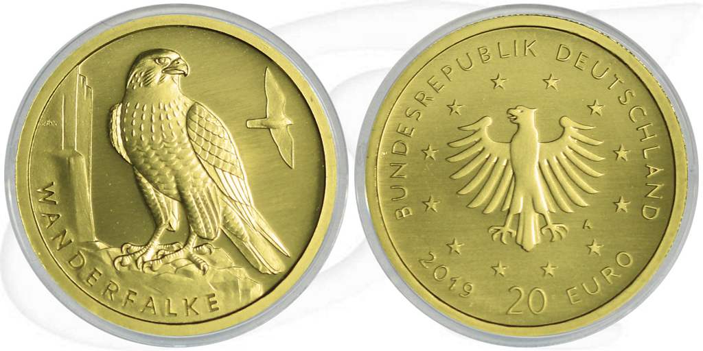 Goldmünze 20 Euro 2019 Wanderfalke Münze Vorderseite und Rückseite zusammen