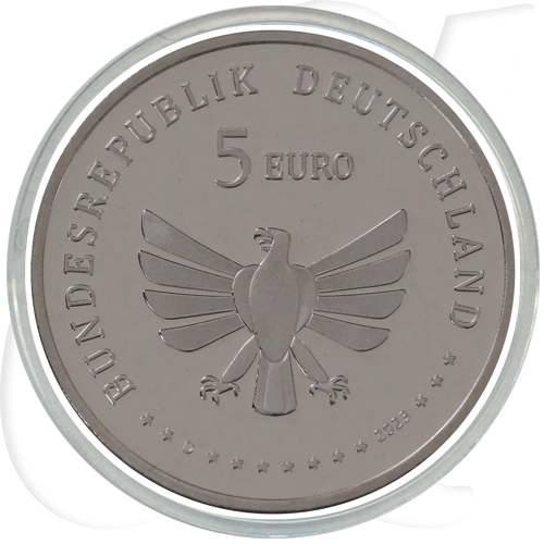BRD 5 Euro 2023 D (München) PP OVP Wunderwelt Insekten - Rostrote Mauerbiene