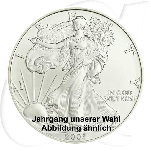 Silber Dollar USA American Eagle 1 Unze Münzen-Bildseite