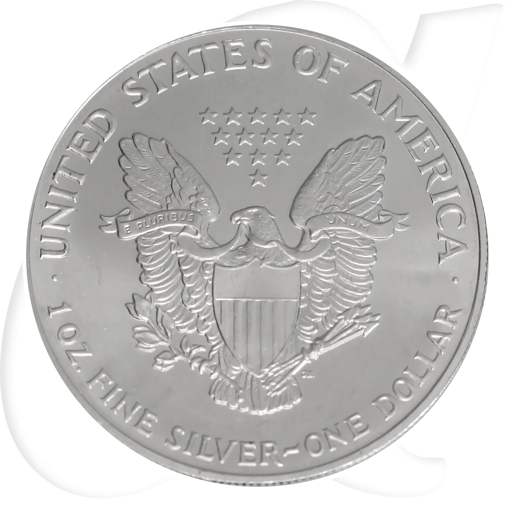 Silver Eagle 1993 USA Walking Liberty Münzen-Wertseite