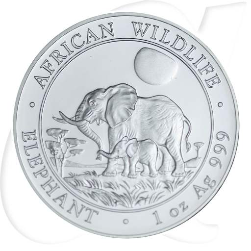 Somalia Elefant 2011 Münzen-Bildseite