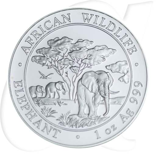 Somalia Elefant 2012 Münzen-Bildseite