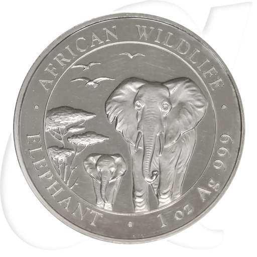 Somalia 100 Sh 2015 African Wildlife Elefant Silber