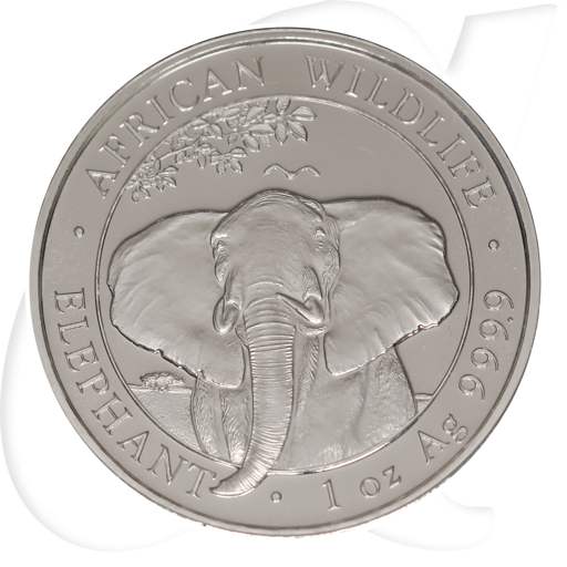 Somalia Elefant 2021 Silber Münzen-Bildseite