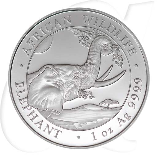 somalia elefant 2023 Münzen-Bildseite